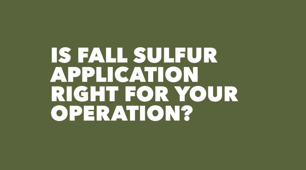 Is fall sulfur application right for your operation?